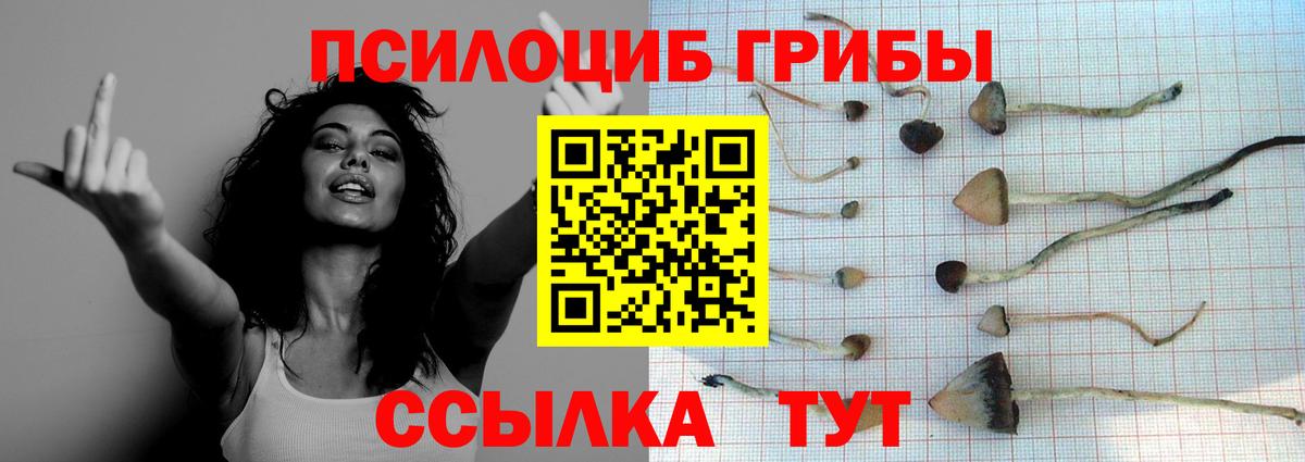 Северобайкальск  наркотики  Псилоцибиновые грибы мицелий  Вход с VPN  Галлюциногенные грибы Psilocybine cubensis 